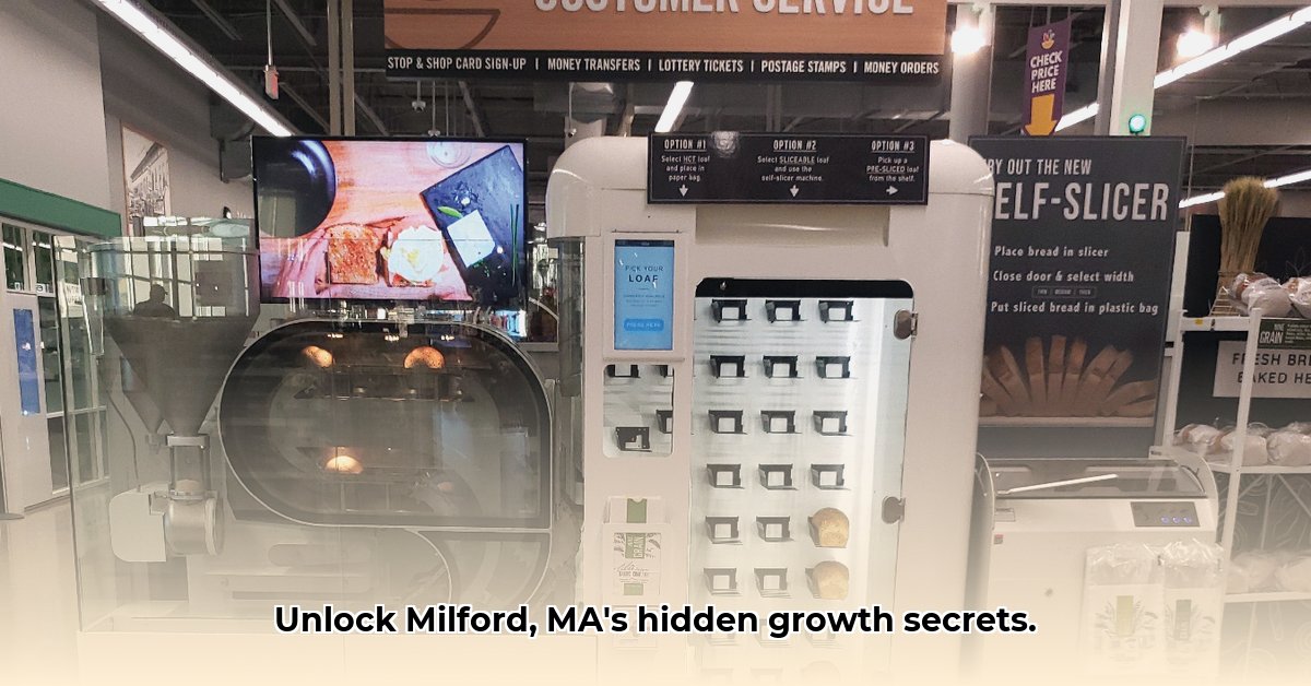 ces-milford-ma